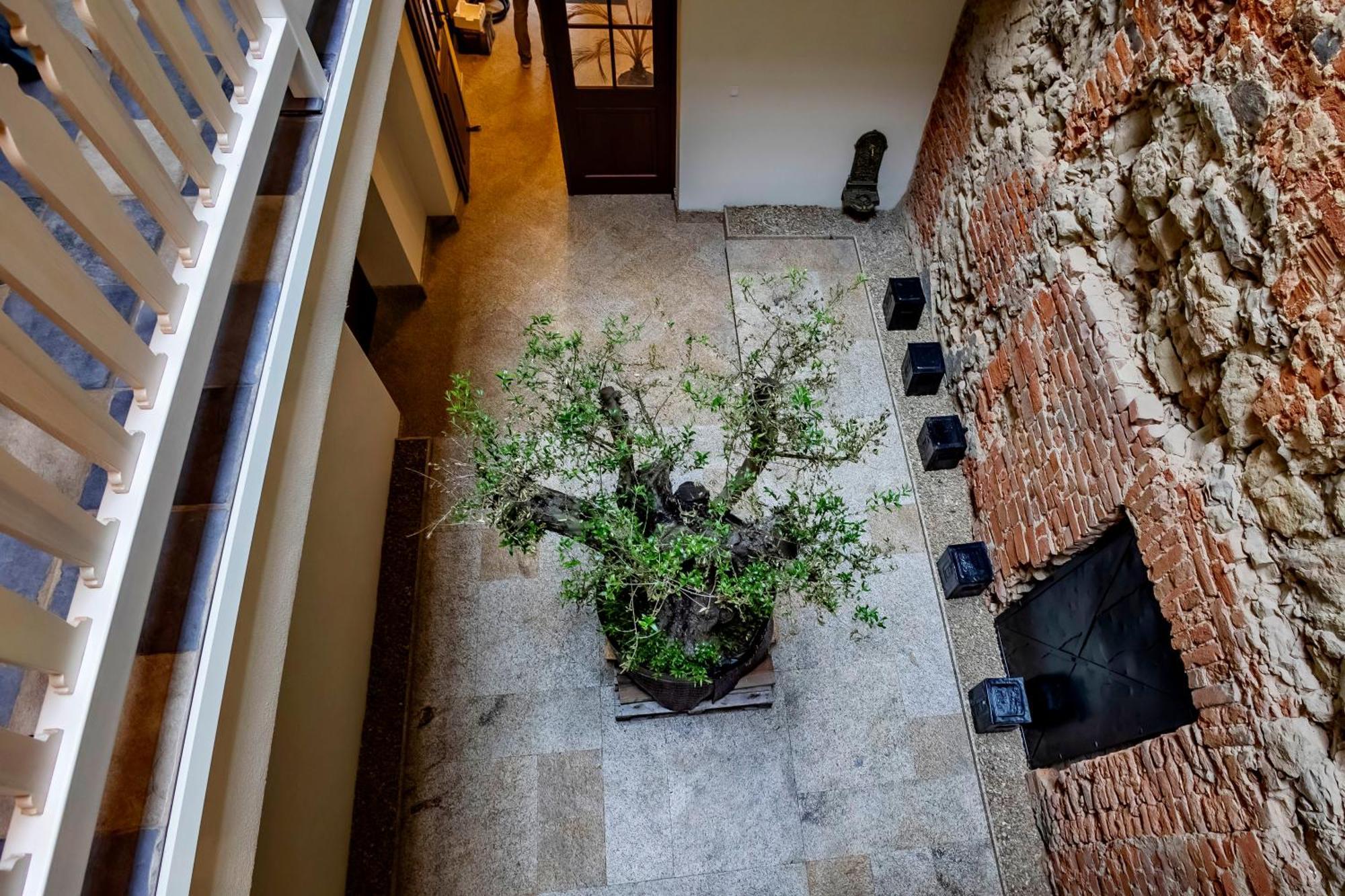 Lubartowska 19 Apartamenty 루블린 외부 사진